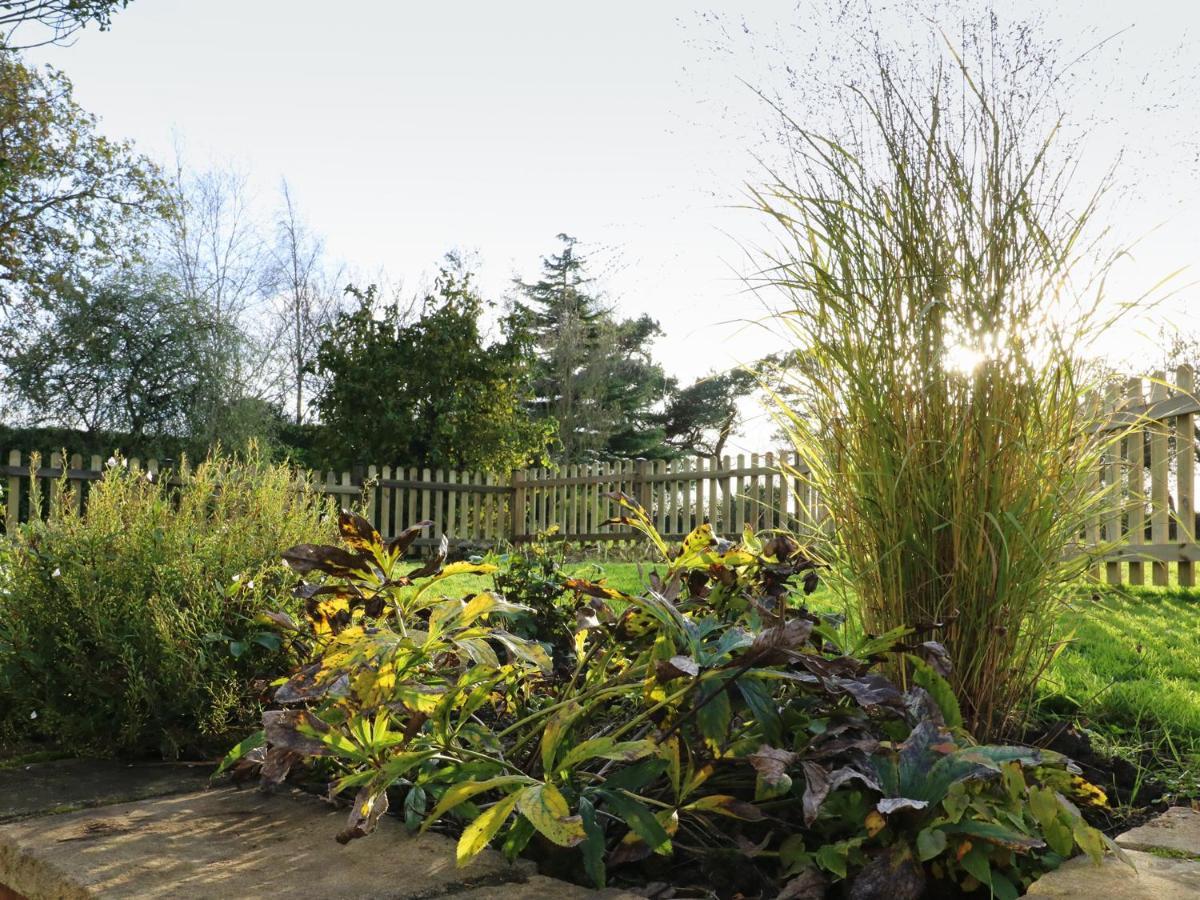 South Lodge Sturminster Newton Buitenkant foto